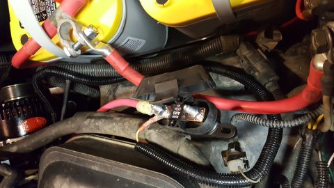 1996 Ford Bronco - A close-up view of the engine bay of a 1996 Ford Bronco, showing the battery terminals, red and pink battery cables, a Buss AMG 250A 32V fu…