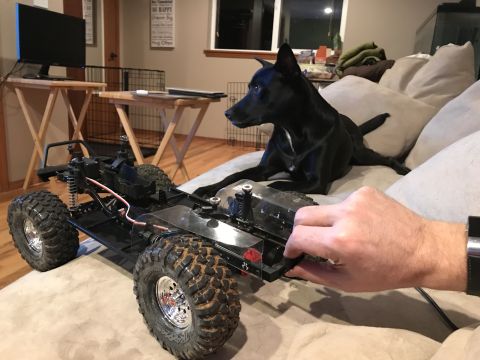 1989 Ford Bronco - A dog is on a couch with a remote control car.