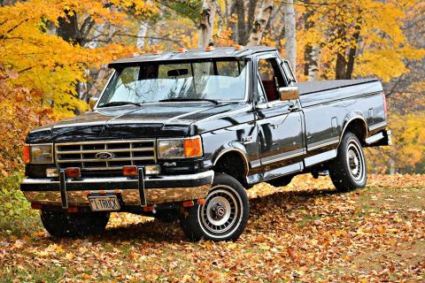 1988 Ford F-150 photo