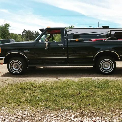 1988 Ford F-150 photo