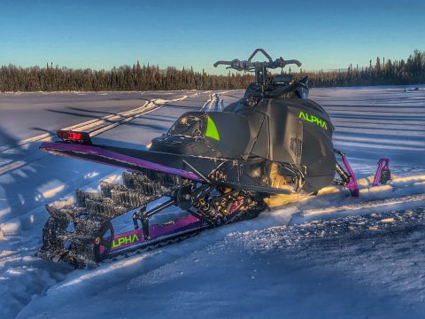 2019 Arctic Cat Mountain Cat 800 photo