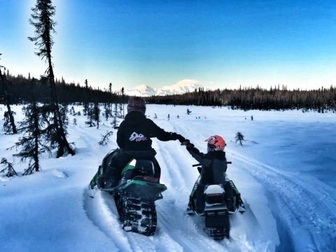 2019 Arctic Cat Mountain Cat 800 photo