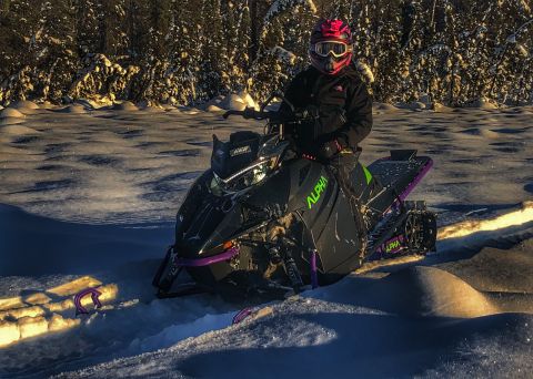 2019 Arctic Cat Mountain Cat 800 photo