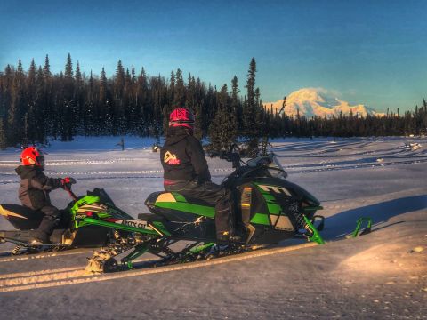 2019 Arctic Cat Mountain Cat 800 photo