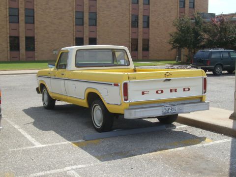 1979 Ford F-100 photo