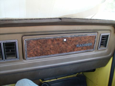 1979 Ford F-100 photo
