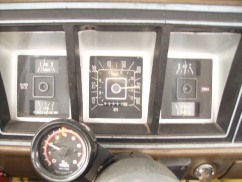 1979 Ford F-100 photo