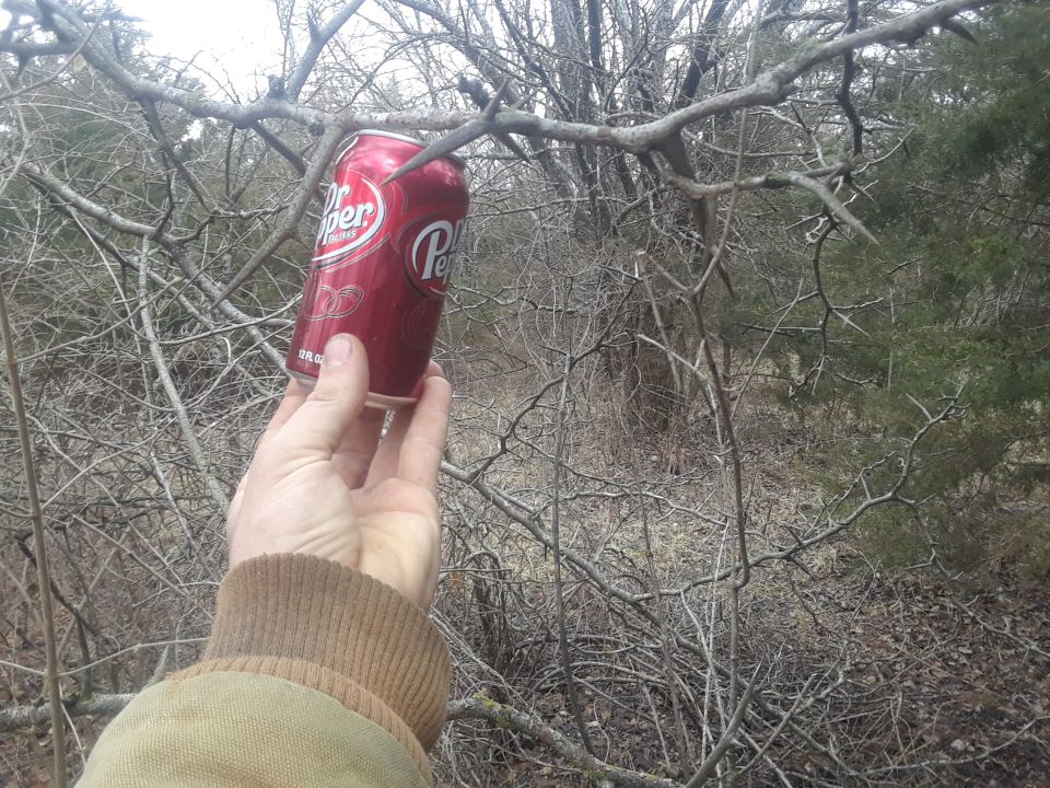Hand holding a Dr. Pepper can in front of a thorny bush.