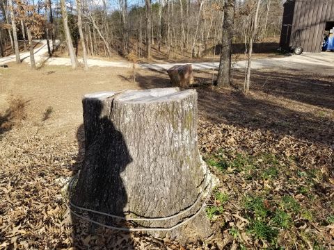 1983 Ford Bronco - The stump in the distance (far side of the white driveway, Right of the brick stack) died a couple of years ago, and I cut it down a few mo…