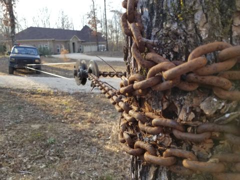 1983 Ford Bronco - I don't think NASA lasers are this straight. And this shows why tree straps are required on live trees. This is at (repeated) full-stall wi…