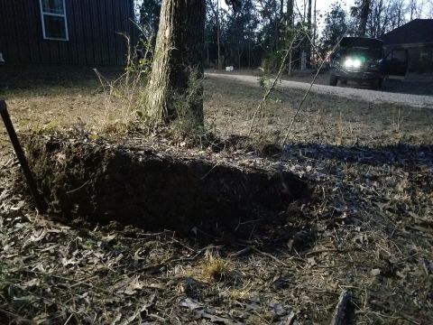 1983 Ford Bronco - I found a couple more heavy roots as they came up, and cut them. That really relieved the cable tension, allowing it to start rolling in ag…