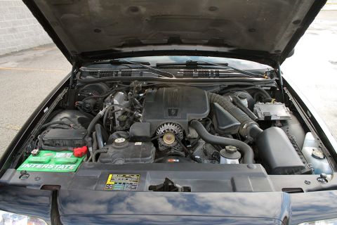 2005 Ford Crown Victoria photo