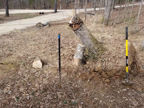 1983 Ford Bronco - The weight of the dirt pulled it back upright, so I put some of the log sections under the stump to lift it.
