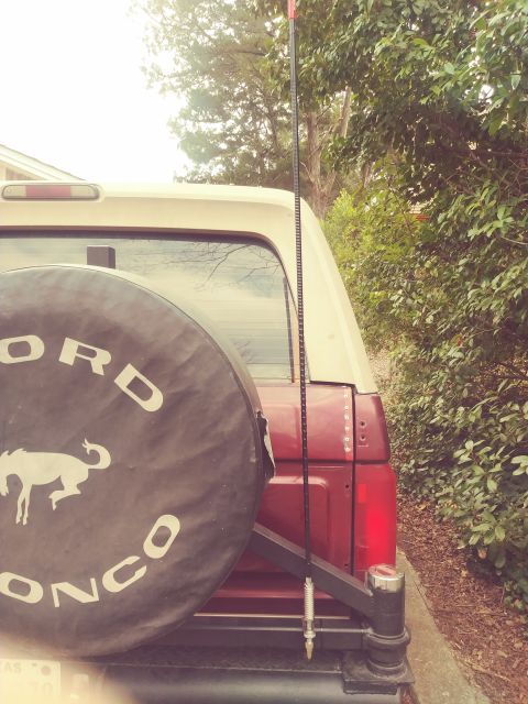 1996 Ford Bronco - Rear view of a 1996 Ford Bronco, its spare tire cover and an antenna.
