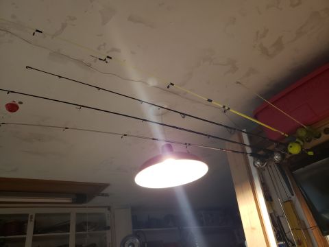 1965 Ford Mustang - Fishing rods are neatly organized and stored on the ceiling of a garage, illuminated by a central light.