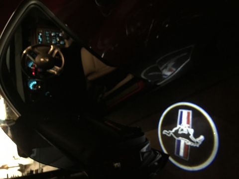 2014 Ford Mustang - Illuminated Mustang logo projected onto the ground from the door of a 2014 Ford Mustang.