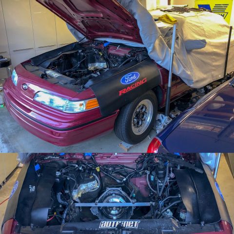 1992 Ford Crown Victoria - The engine bay of a maroon 1992 Ford Crown Victoria is visible, with the hood open and fender covers in place.