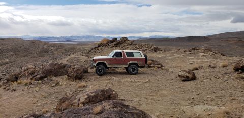 1981 Ford Bronco photo