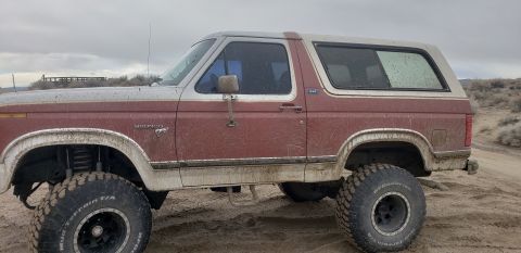 1981 Ford Bronco photo