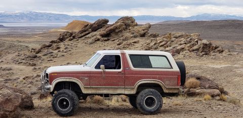 1981 Ford Bronco photo