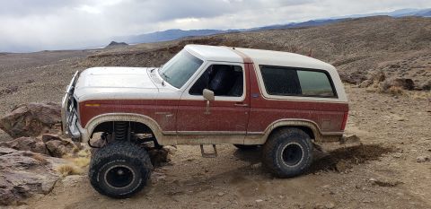 1981 Ford Bronco photo
