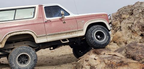 1981 Ford Bronco photo