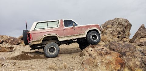 1981 Ford Bronco photo