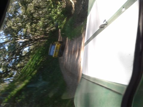 1991 Ford Bronco - A yellow and blue vehicle is seen on a dirt road, surrounded by greenery and trees.