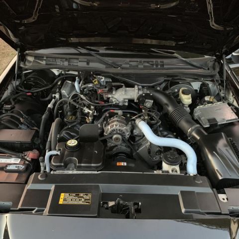 2008 Ford Crown Victoria photo