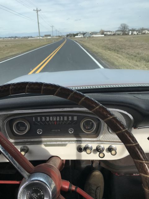 1966 Ford F-250 photo