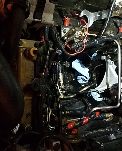 1995 Ford F-250 - This photo shows a close-up view of a diesel engine's fuel system components and wiring.