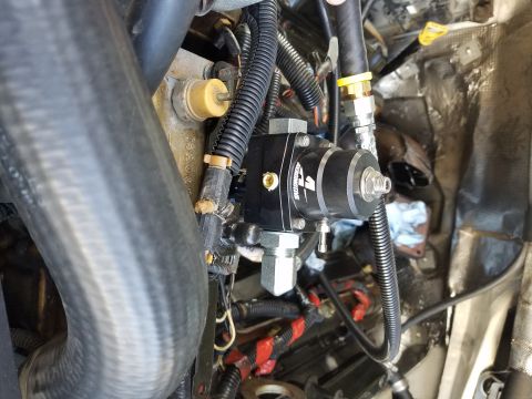 1995 Ford F-250 - Close-up of an aftermarket fuel pressure regulator installed in an engine bay.