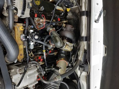 1995 Ford F-250 - Close-up view of a modified diesel engine's turbocharger and fuel system components.