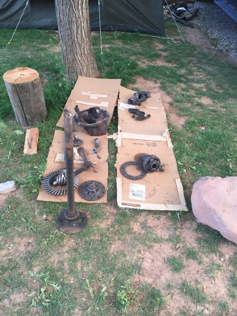 1984 Ford Bronco - Various components of a vehicle's differential are disassembled and arranged on cardboard outdoors.