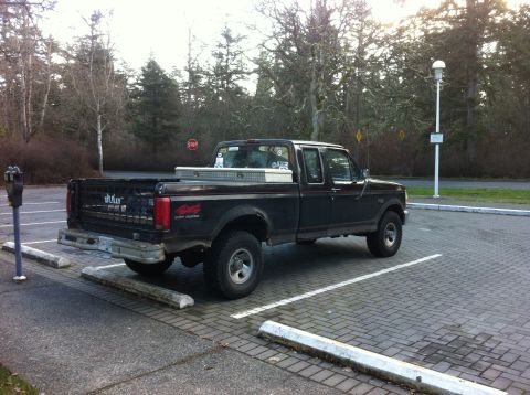 1978 Ford Bronco - A black Ford F-250 pickup truck is parked in a lot with trees in the background.