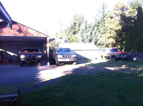 1978 Ford Bronco - Multiple trucks and SUVs are parked in a driveway and yard, with a red SUV visible on the right.