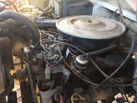 1984 Ford Bronco - A close-up view of a V8 engine, likely from a 1984 Ford Bronco, showing the air cleaner assembly, distributor cap, spark plug wires, and va…