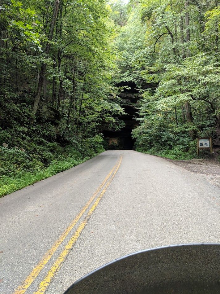 Motorcycle windshield in foreground, paved road leading into a forest tunnel.