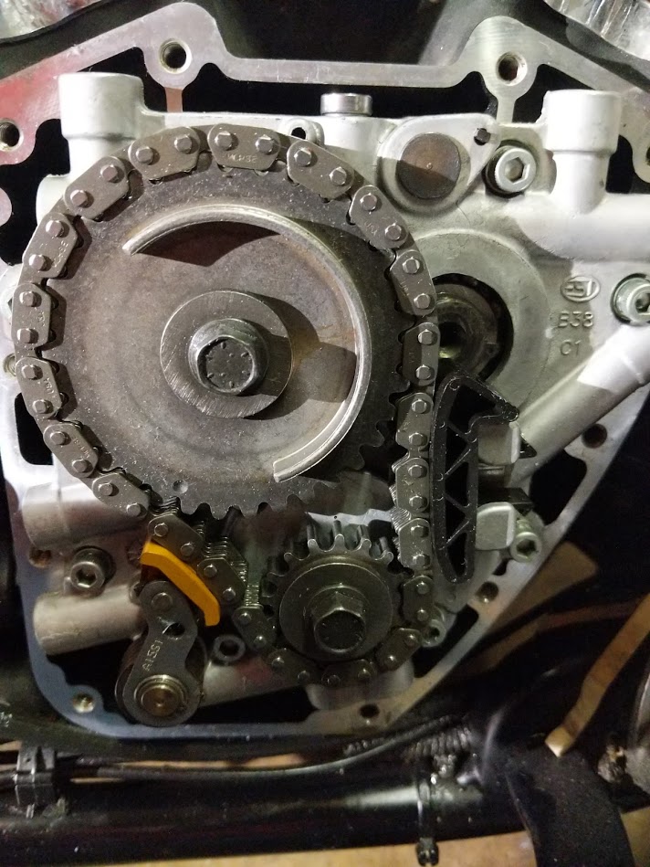 Motorcycle engine timing chain and gears