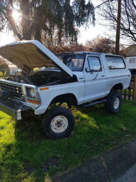 1978 Ford Bronco - A white 1978 Ford Bronco with its hood open is parked on a grassy slope in front of a tree. The vehicle has large tires and a metal bumper.