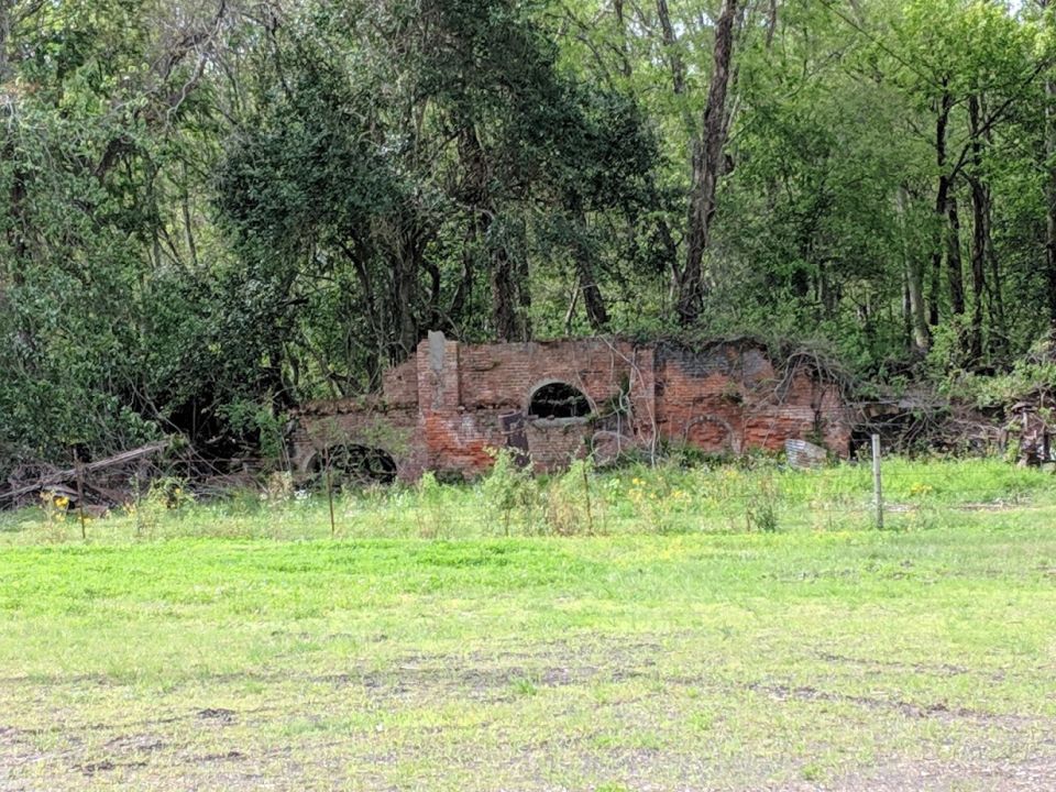 Ruins of an old brick structure overgrown with plants and trees.