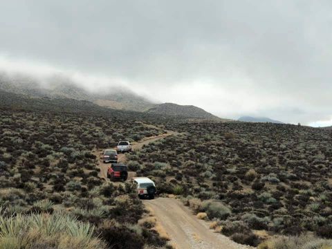 1993 Ford Bronco photo