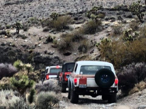 1993 Ford Bronco photo