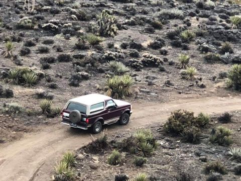 1993 Ford Bronco photo
