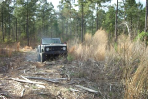 1968 Ford Bronco photo