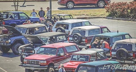 1979 Ford Bronco - A collection of Ford Bronco SUVs are gathered in a parking lot on a sunny day.