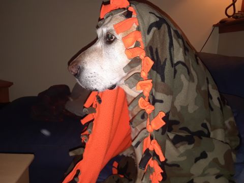 1994 Ford Bronco - A dog is wrapped in a camouflage blanket with orange fringe, looking off to the side.