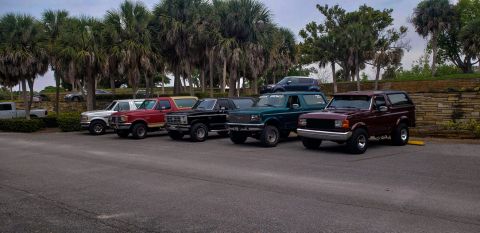 1996 Ford Bronco - A lineup of Ford Broncos and trucks parked outdoors with palm trees in the background.