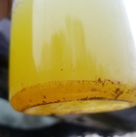 2001 Ford Excursion - A close-up view of yellow fluid with sediment collected in a clear container, with a website address visible at the bottom.