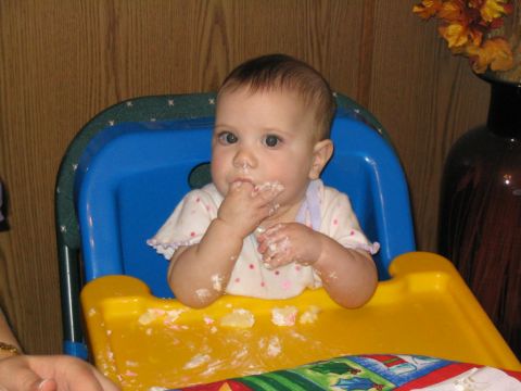 2004 Ford Taurus - I love cake even if it isn't MY birthday.